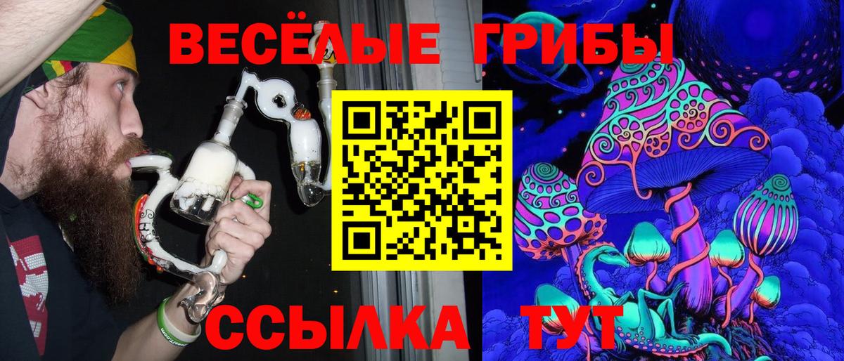 Псилоцибиновые грибы Psilocybine cubensis Долгопрудный